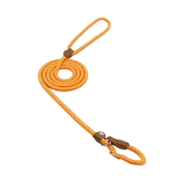 Nylon Pup Set InfiniteWags Orange M