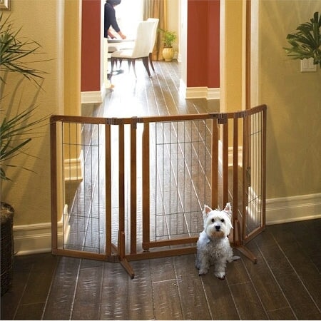 Premium Plus Freestanding Pet Gate with Door Richell