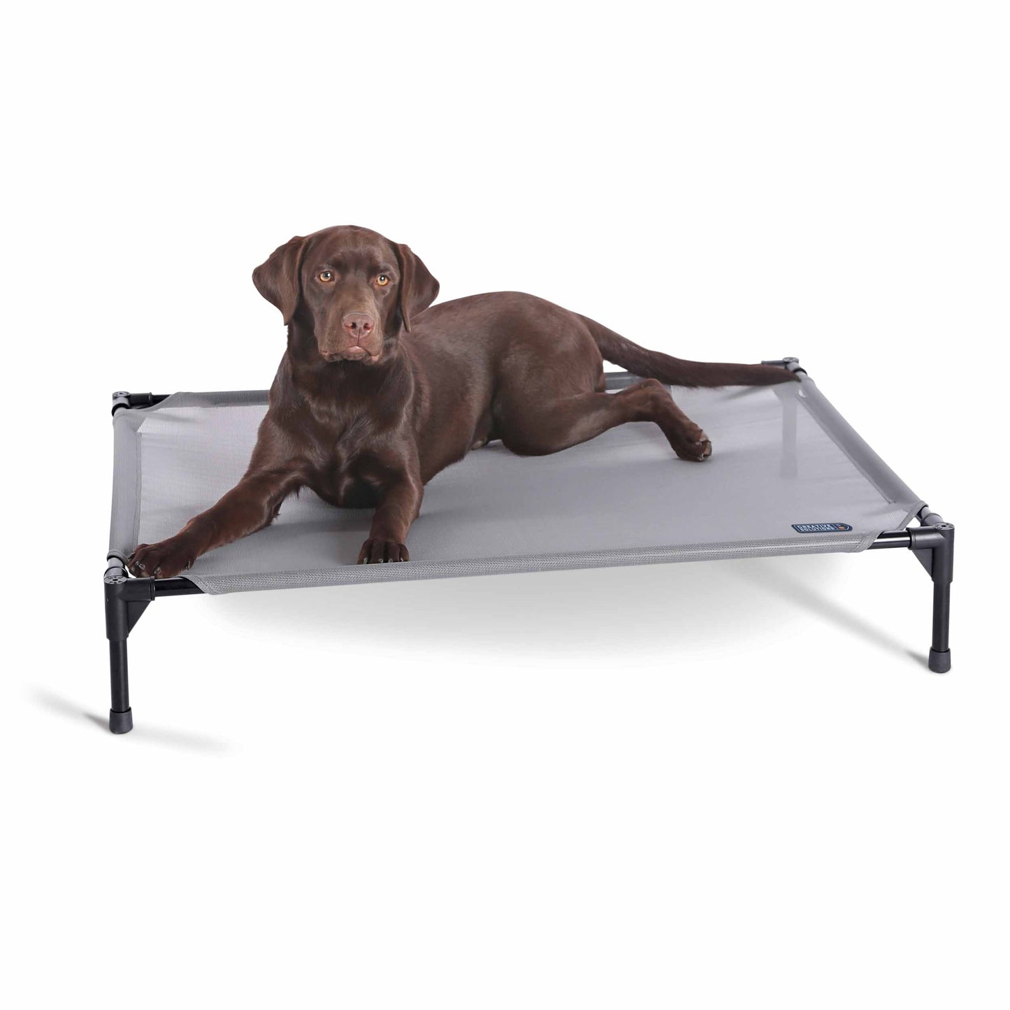 All Weather Pet Cot Cooling Beds K&H Pet Products