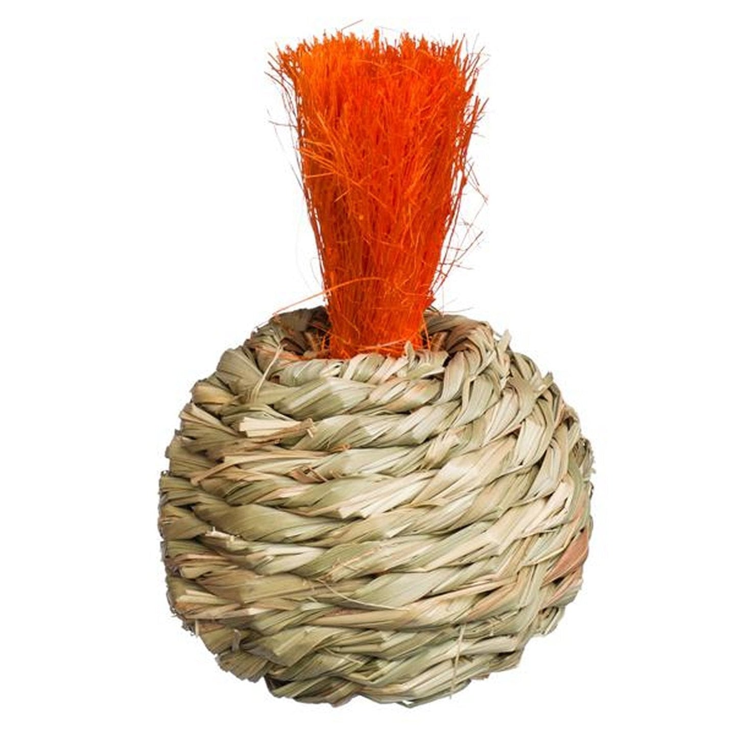 Prevue Pet Products Grassy Nibblers Squash - 1080 Prevue Pet Products