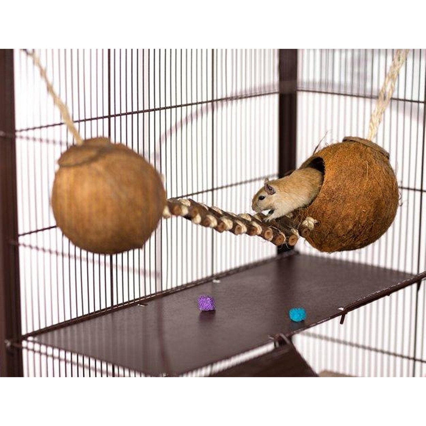 Prevue Pet Products Double Coconut with Ladder - 62818 Prevue Pet Products