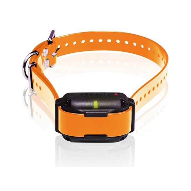 Dogtra Edge RT Trainer Extra Collar - Orange Dogtra