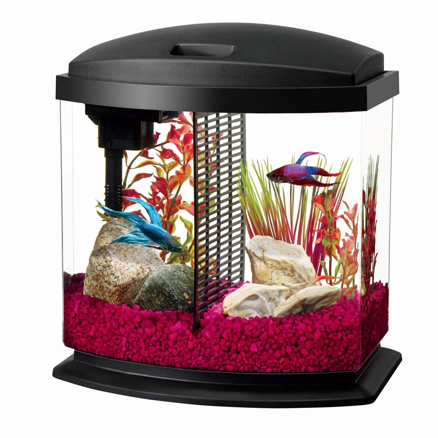 BettaBow LED Aquarium Kit 2.5 Gallon Aqueon