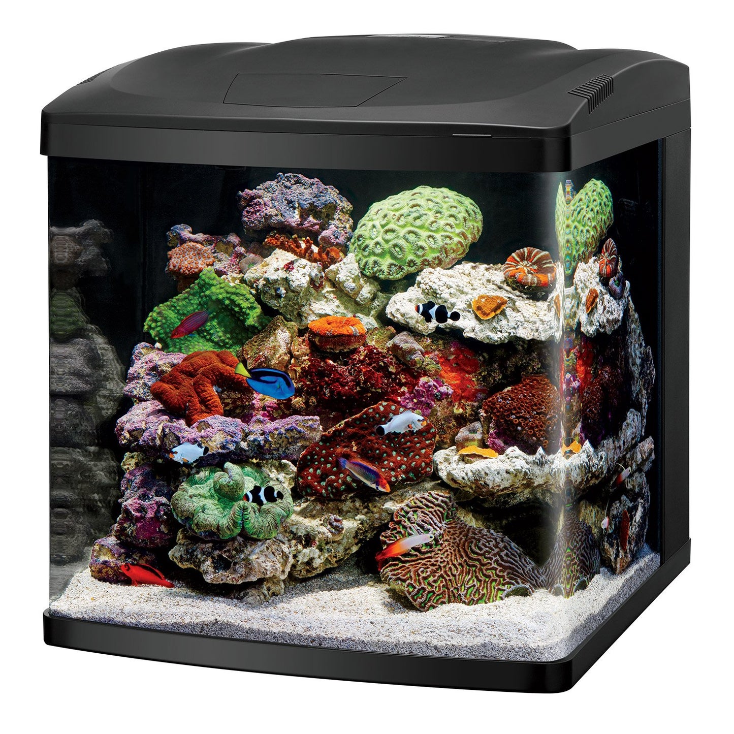 LED BioCube 32 Aquarium Kit Coralife