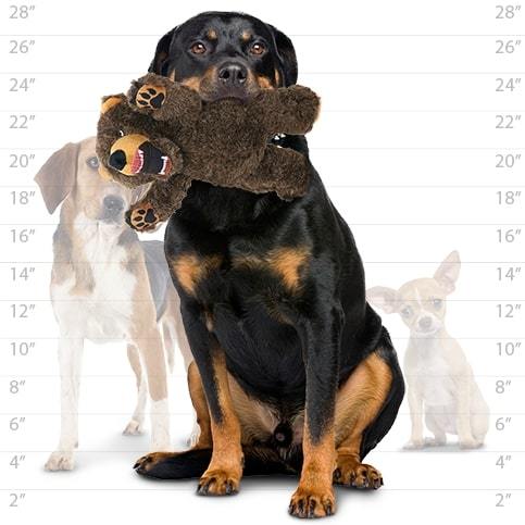 Tough Bear Dog Toy - Mighty® Angry Animal™Series - Bear Tuffy