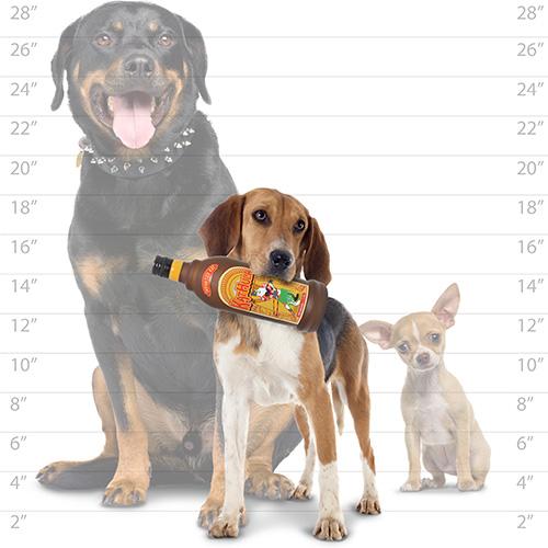 Liquor Bottle Dog Toy - Silly Squeakers® Liquor Bottle - KatHula Tuffy