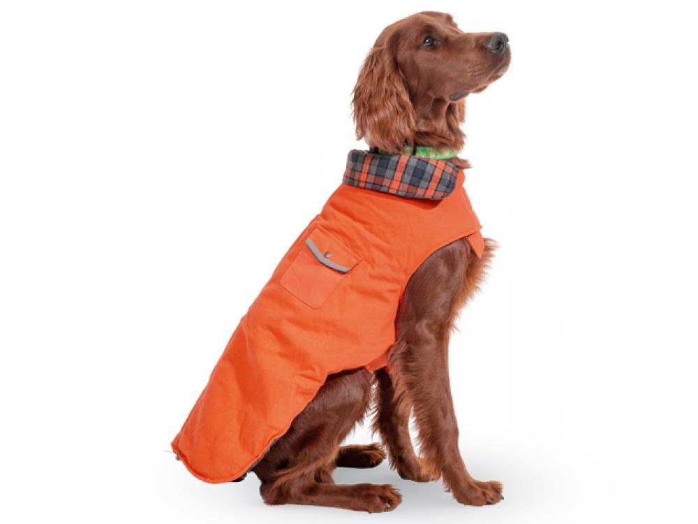 Orange Winter Dog Coat - UpCountry Orange Field Coat Dog Jackets UpCountryInc