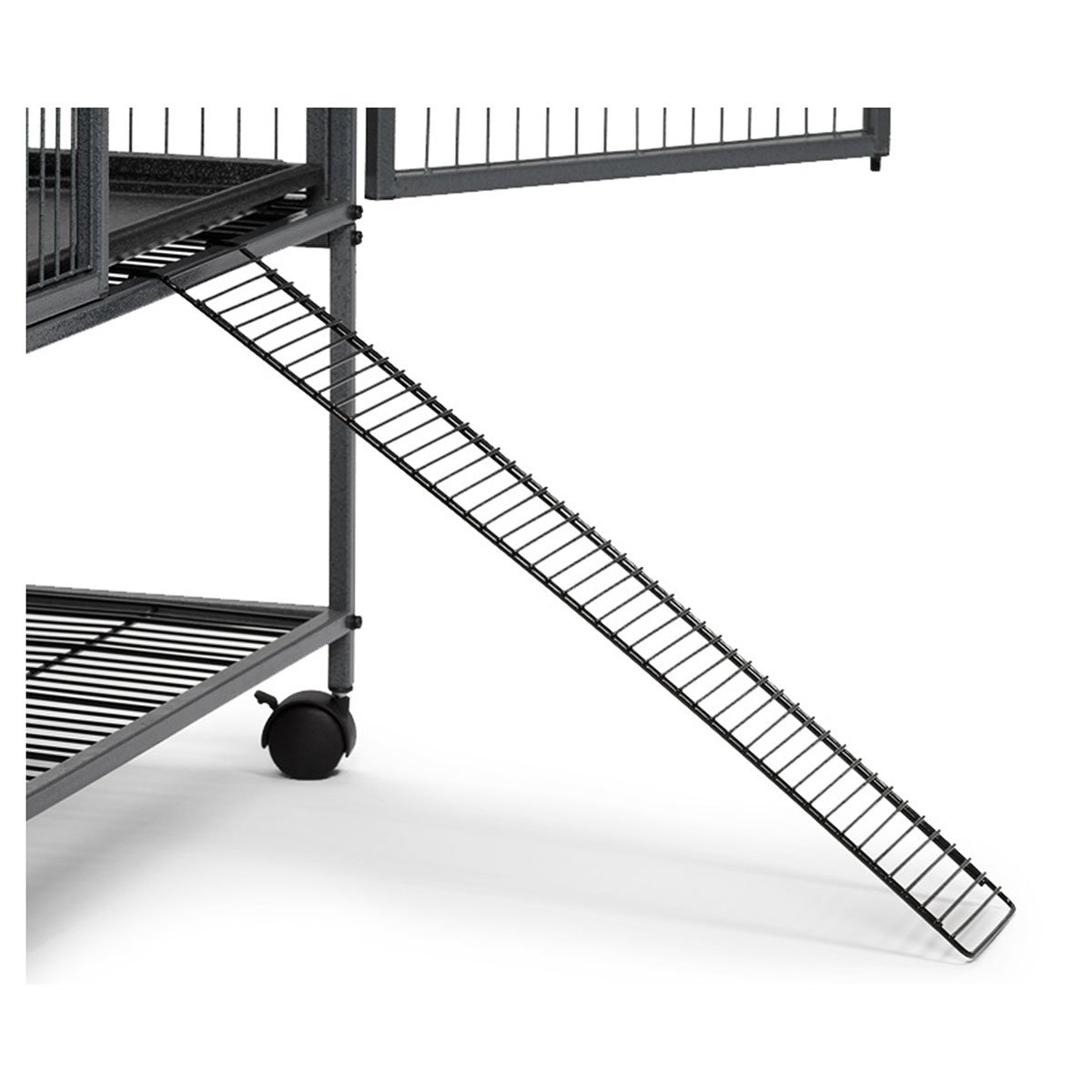 Ferret Nation Exit Ramp Midwest