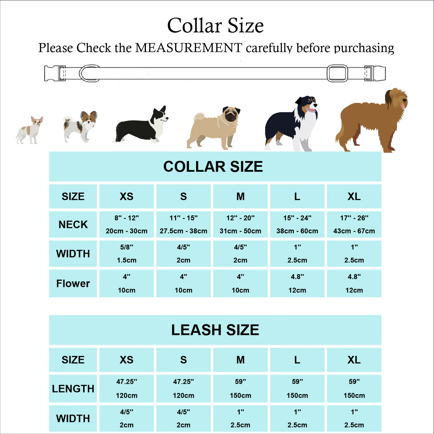 Neon Dreams Collar and Leash Set InfiniteWags