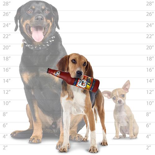 Beer Bottle Dog Toy - Silly Squeakers® Beer Bottle - Killer Bite Tuffy