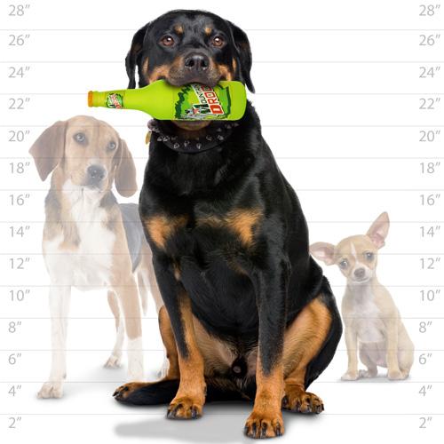 Beer Bottle Dog Toy - Silly Squeakers® Beer Bottle - Mountain Drool Tuffy