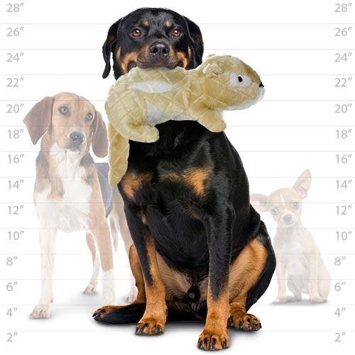 Squirrel Dog Toy - Mighty® Nature Series - Chipmunk Tuffy