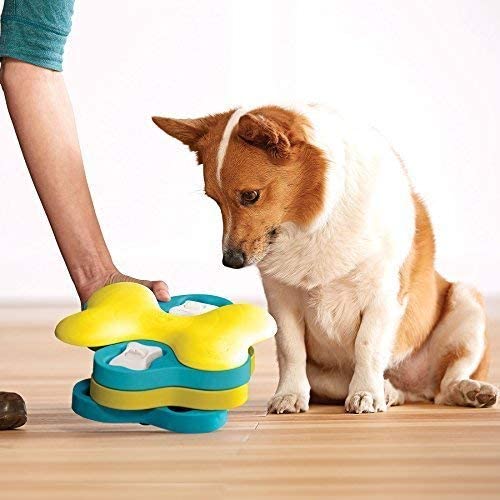  Dog Puzzle Toys, Squeaky Treat Dispensing Dog