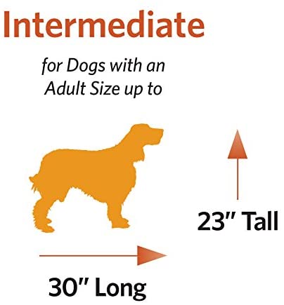 Double Door Folding Metal Dog Crate - Life Stages - Divider Panel, Floor Protecting Feet, Leak-Proof Dog Tray Midwest