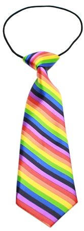 Big Dog Neck Tie Rainbow InfiniteWags