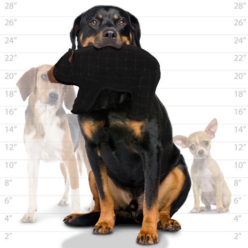 Plush Bear Dog Toy - Tuffy® Zoo Series - Beaufort Bear Tuffy