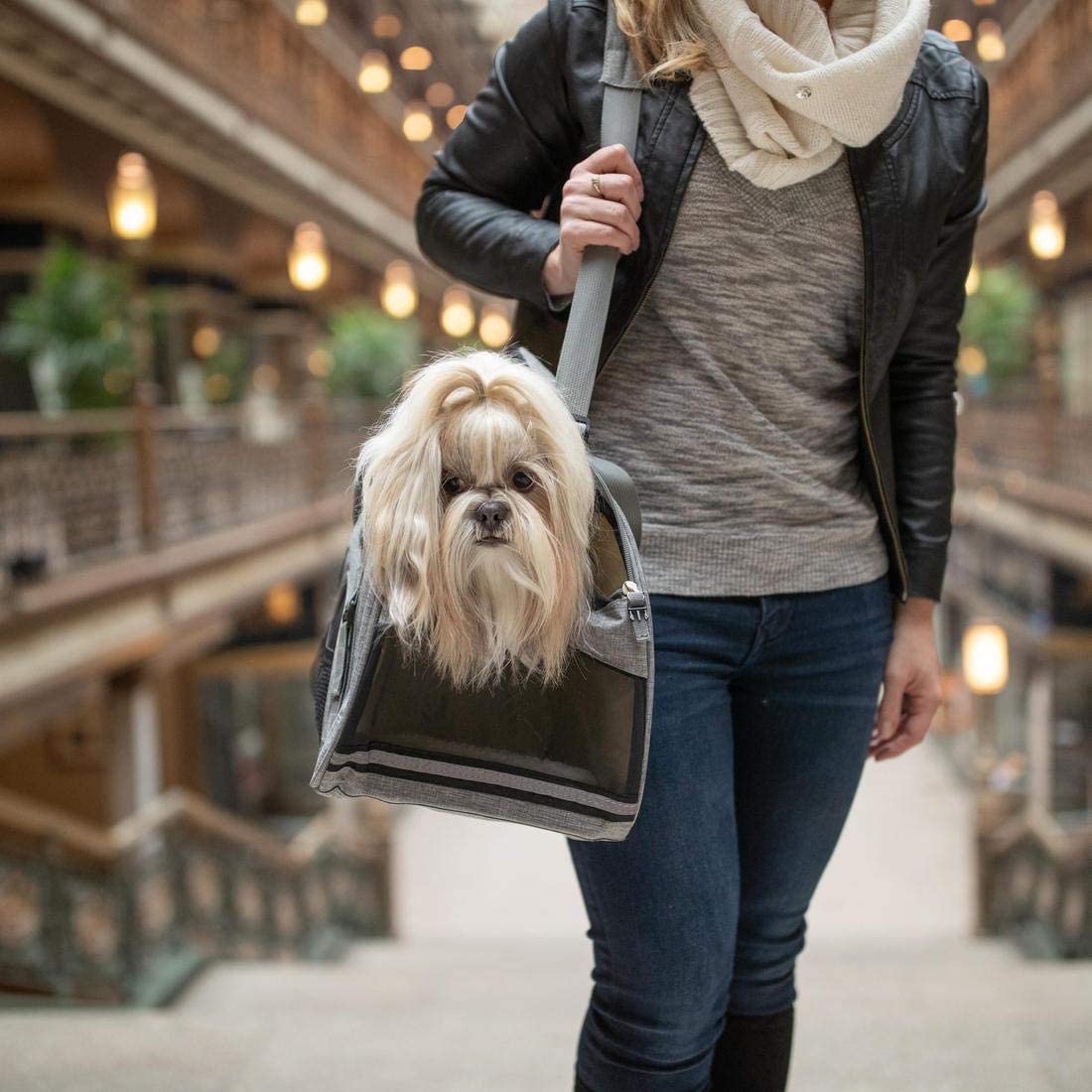 Airline Approved Pet Comfort Carrier - Soft Sided Pet Carrier - Bergan Bergan