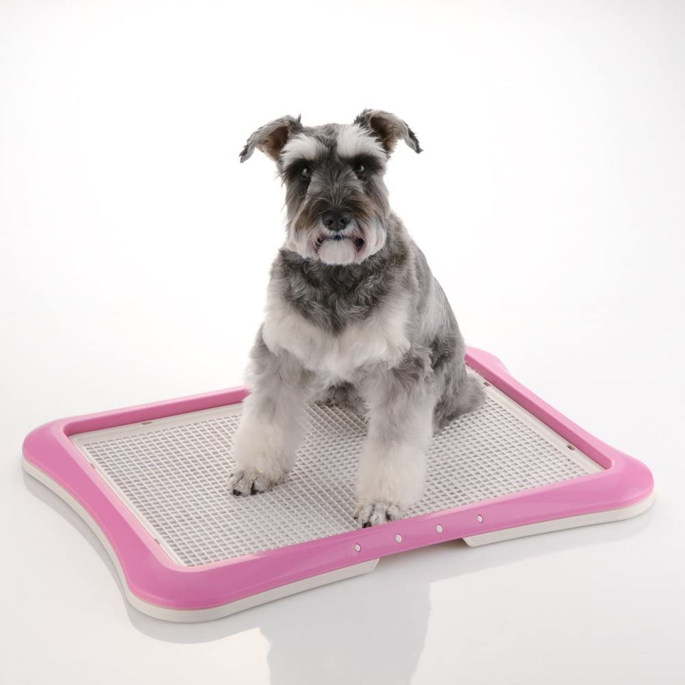 Dog Pee Pad Holder - Paw Trax Mesh Training Tray - Richell Richell