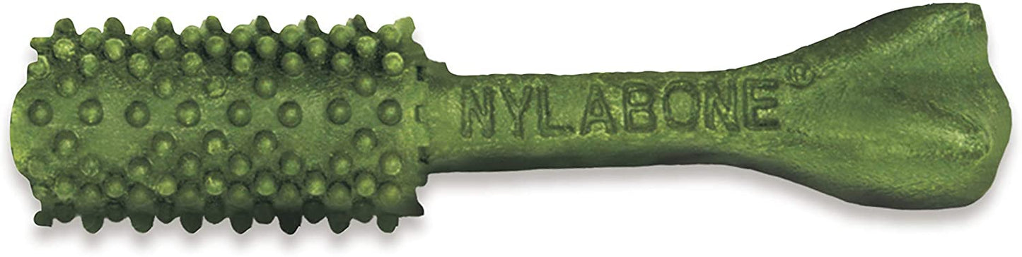 Nutri Dent Limited Ingredient Dental Chews Fresh Breath - Medium - 40 count Nylabone