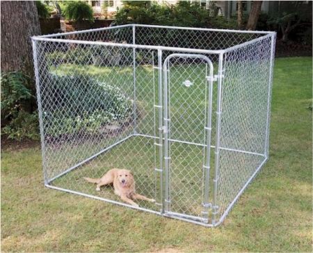 Fence Master Small Boxed Kennel – InfiniteWags
