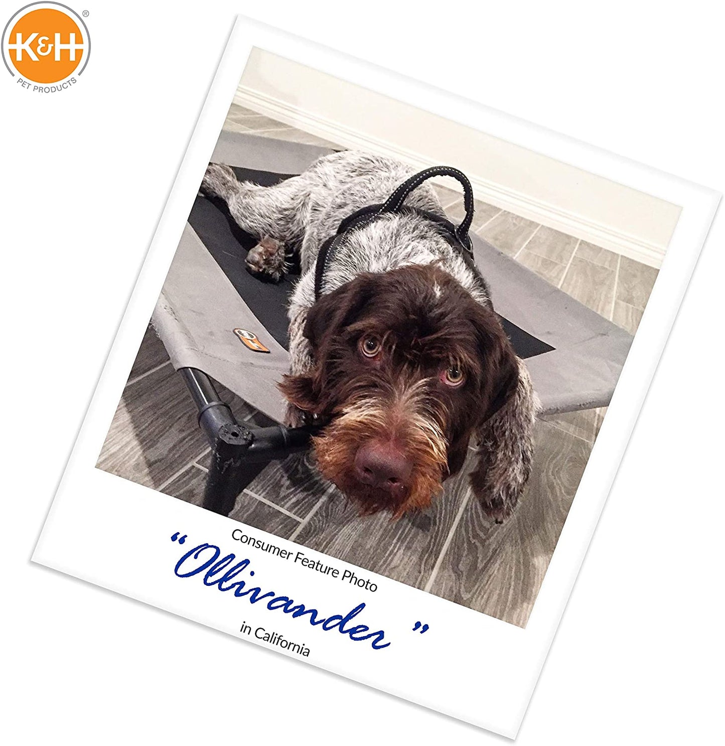 Camo Pet Cot - 200lb Capacity - K&H Pet Products RealTree Original Pet Cot K&H Pet Products