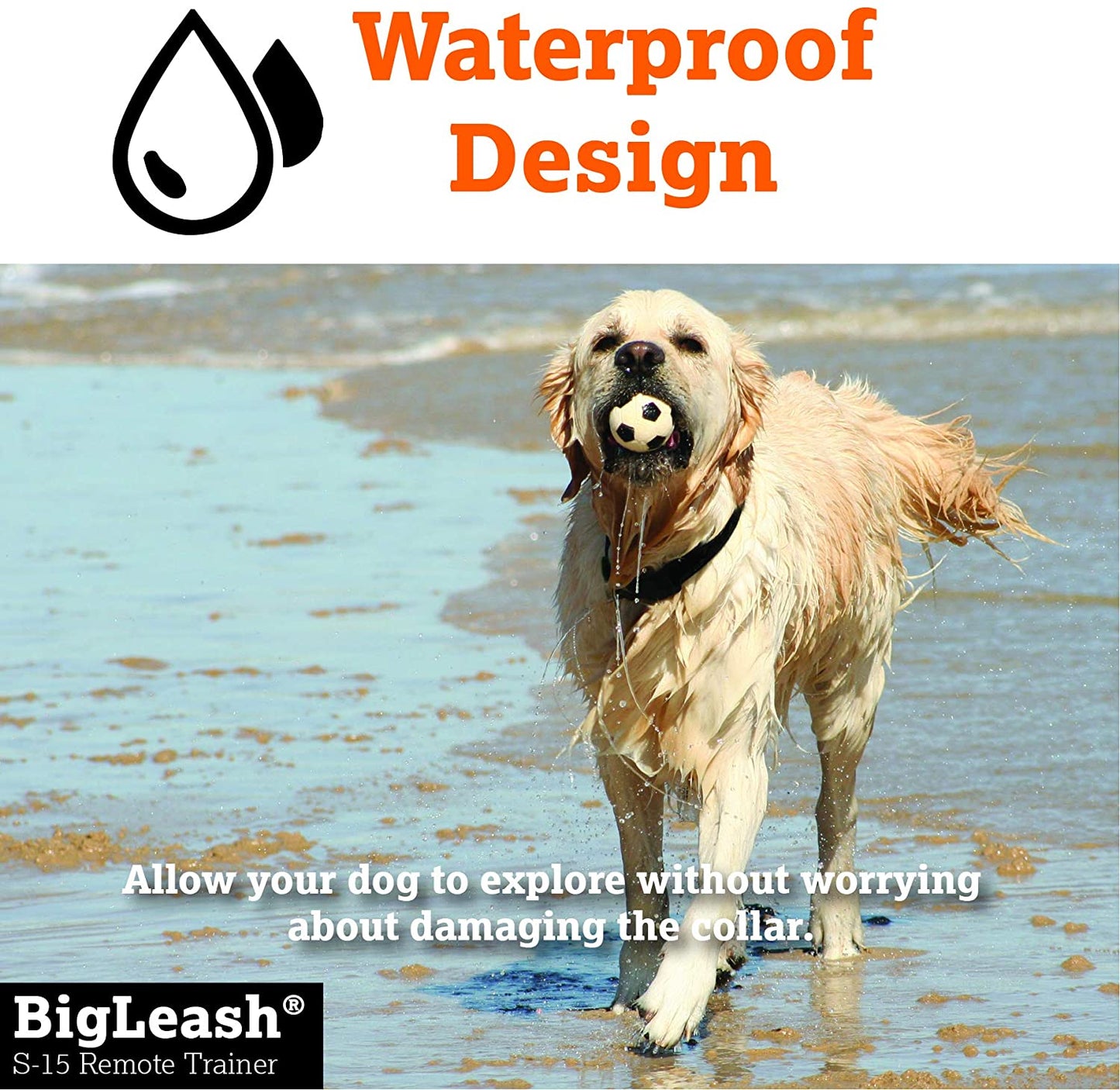 Dog Vibration Training Collar - Dogwatch BigLeash S-15 Remote Trainer Dog Training Collars DogWatch