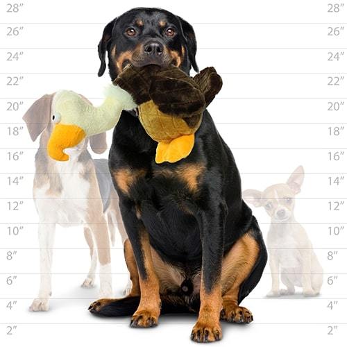 Vulture Dog Toy - Mighty® Safari Series - Vulture Tuffy