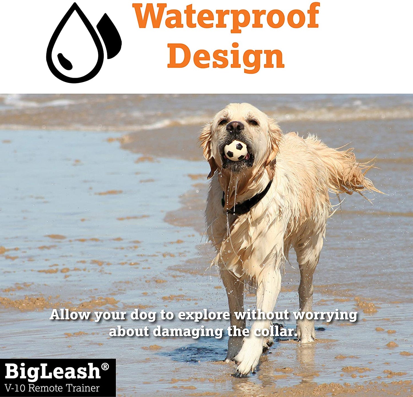 Dog Vibration Collar Remote Trainer - BigLeash V-10 Vibration Remote Trainer Dog Training Collars DogWatch