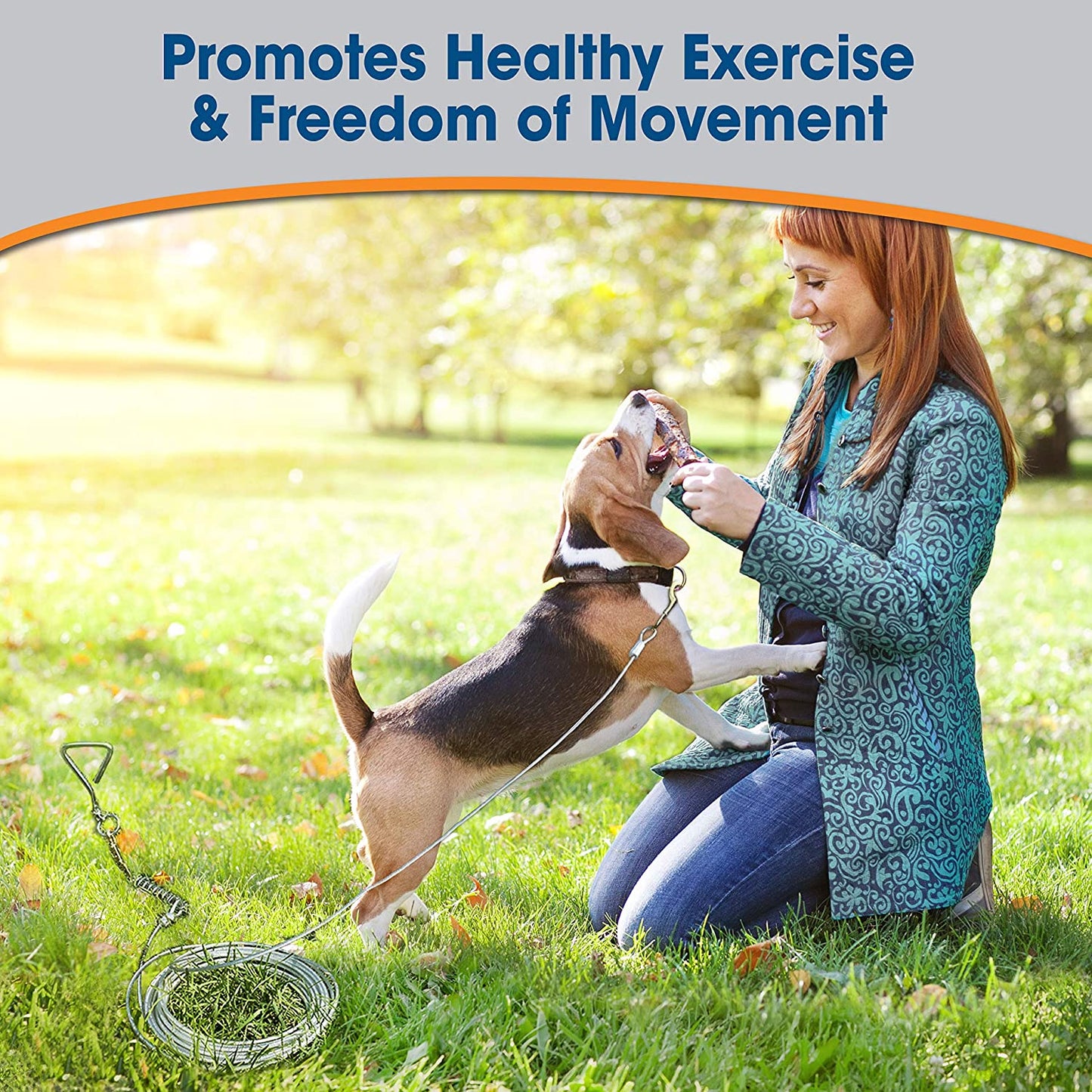 Tie-Out Cable Heavy Weight 30 feet Four Paws