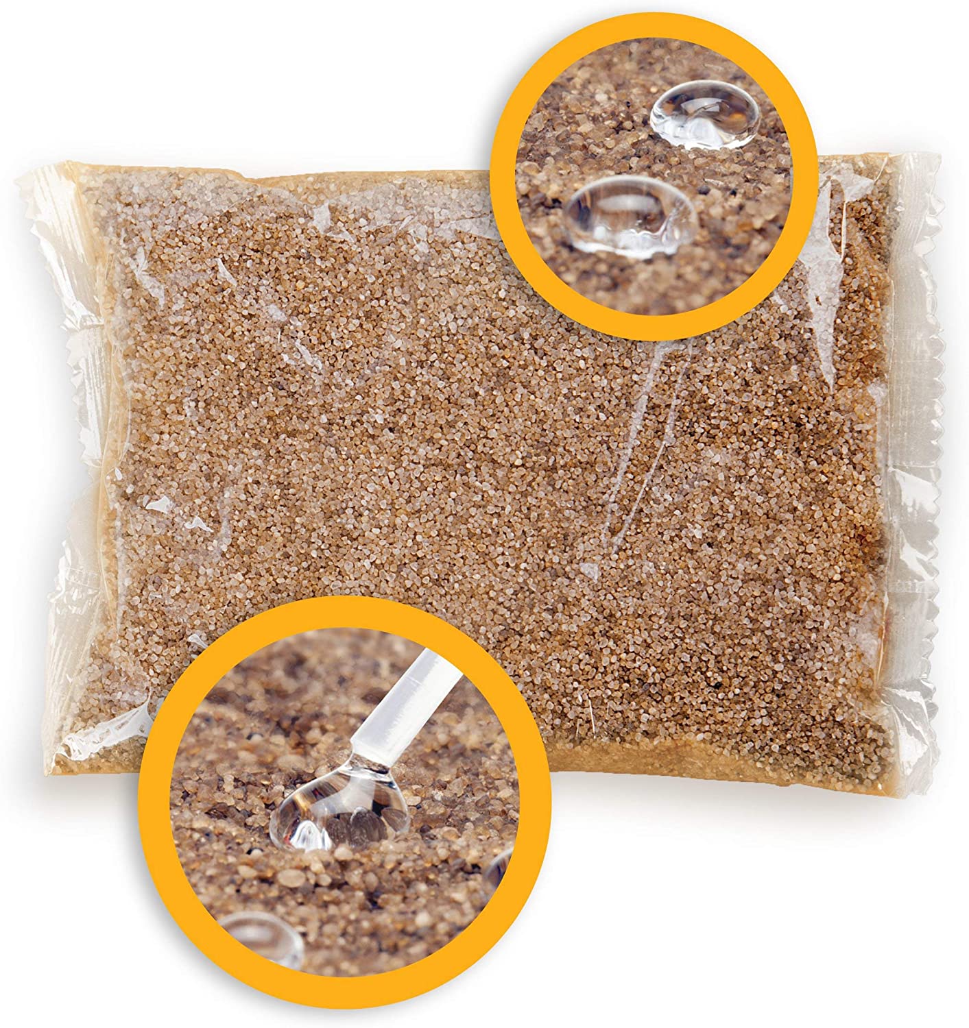 Cat Wellness Test - Urine Collection and Detection of Diabetes, Kidney Conditions, UTI - Coastline Global Coastline Global