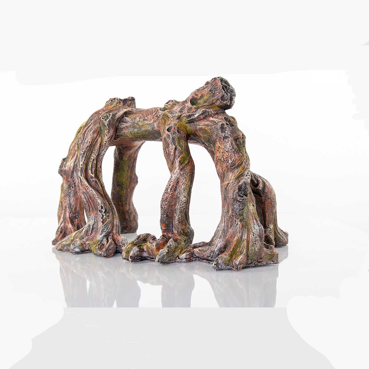 Decorative Ficus Roots Horizontal BioBubble