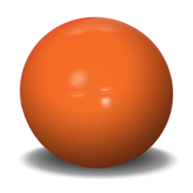 Virtually Indestructible Ball 10 inches Hueter Toledo
