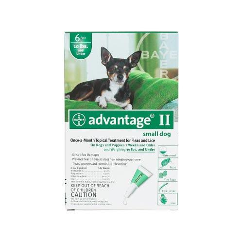 Flea Control for Dogs and Puppies Under 10 lbs 6 Month Supply Advantage