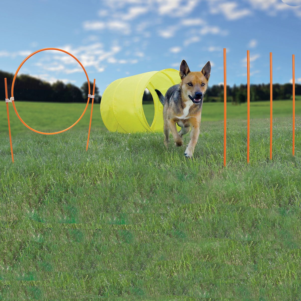 Dog Agility Starter Kit Outdoor Outward Hound