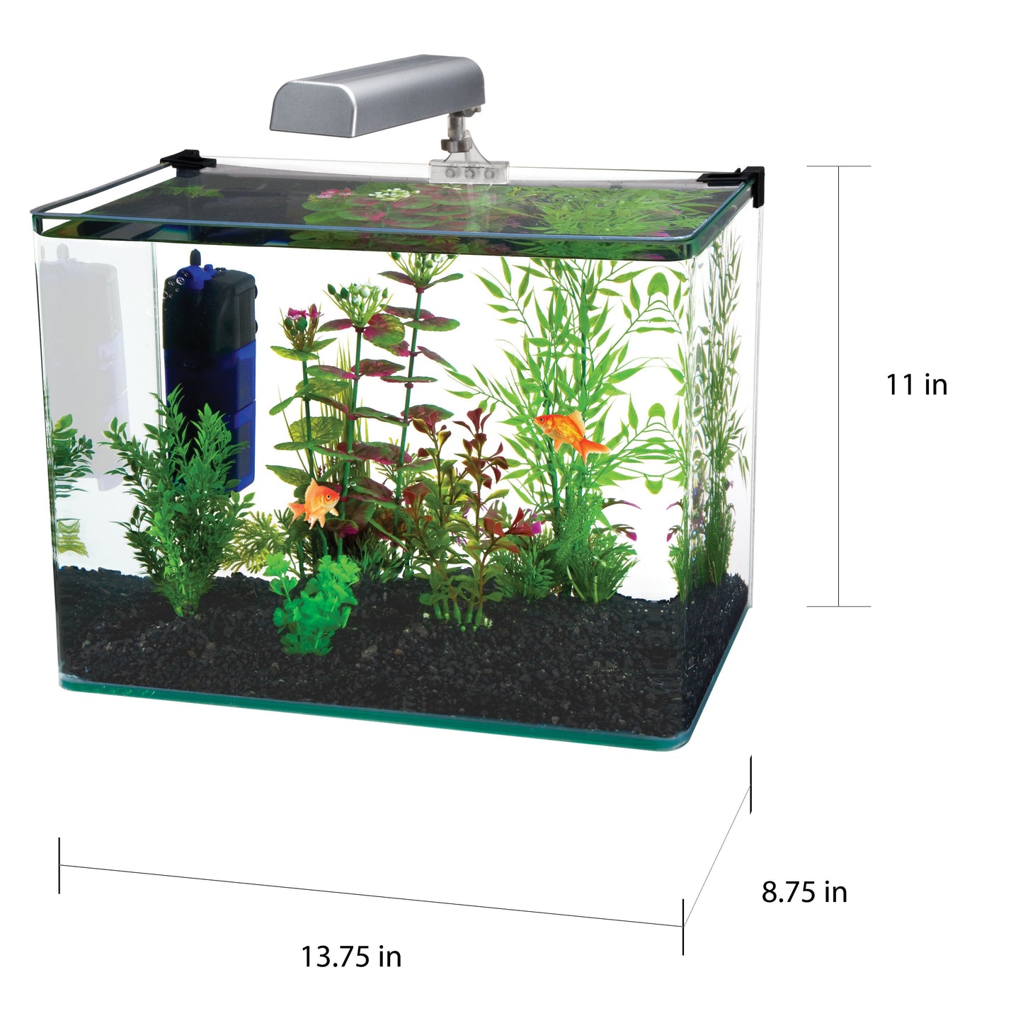5 Gallon Glass Aquarium Kit - Penn Plax Radius 5 Gallon Glass Aquarium Kit Aquariums Penn Plax