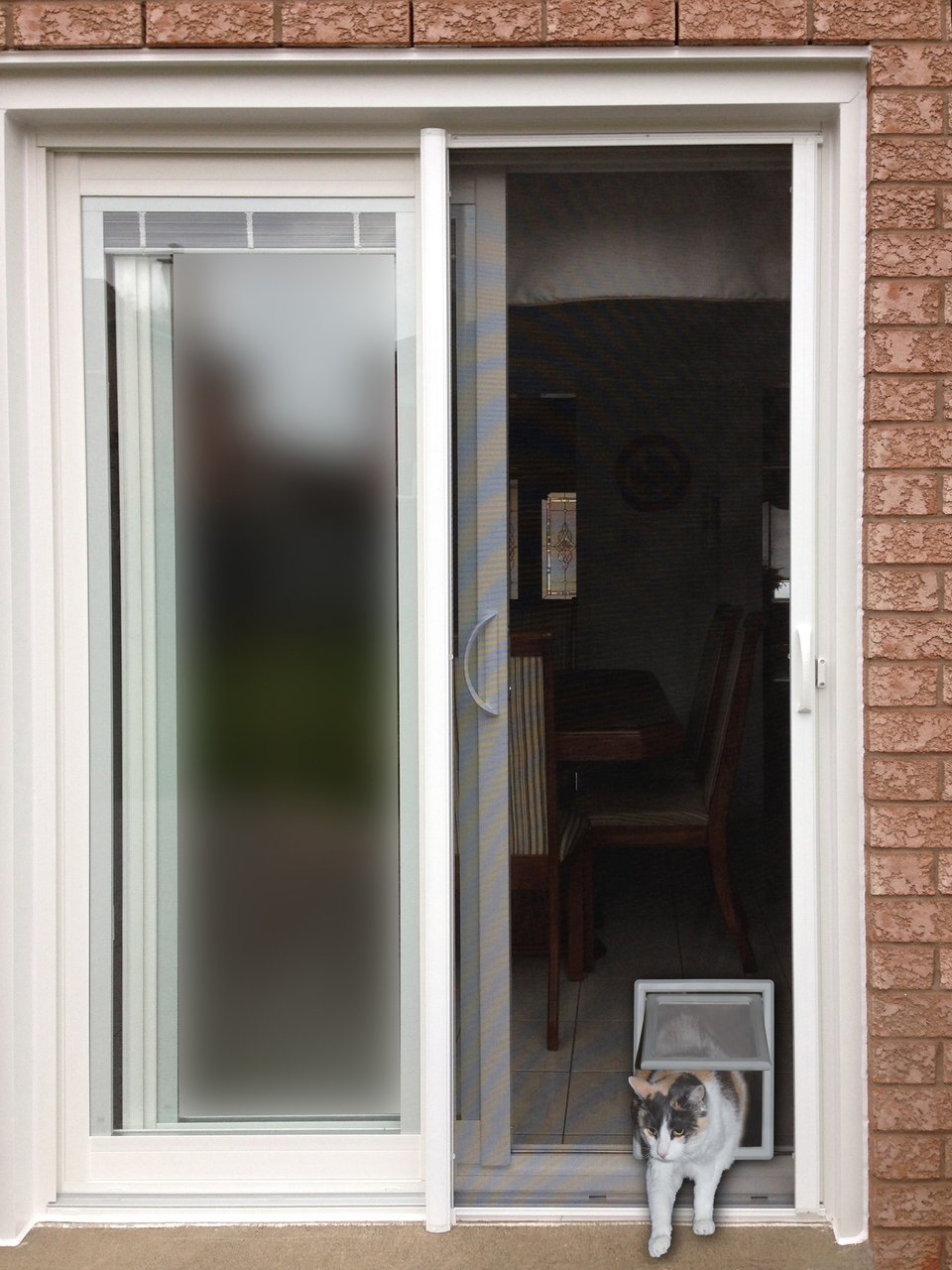 Screen Pet Door - Ideal Pet Products Ideal Pet Products