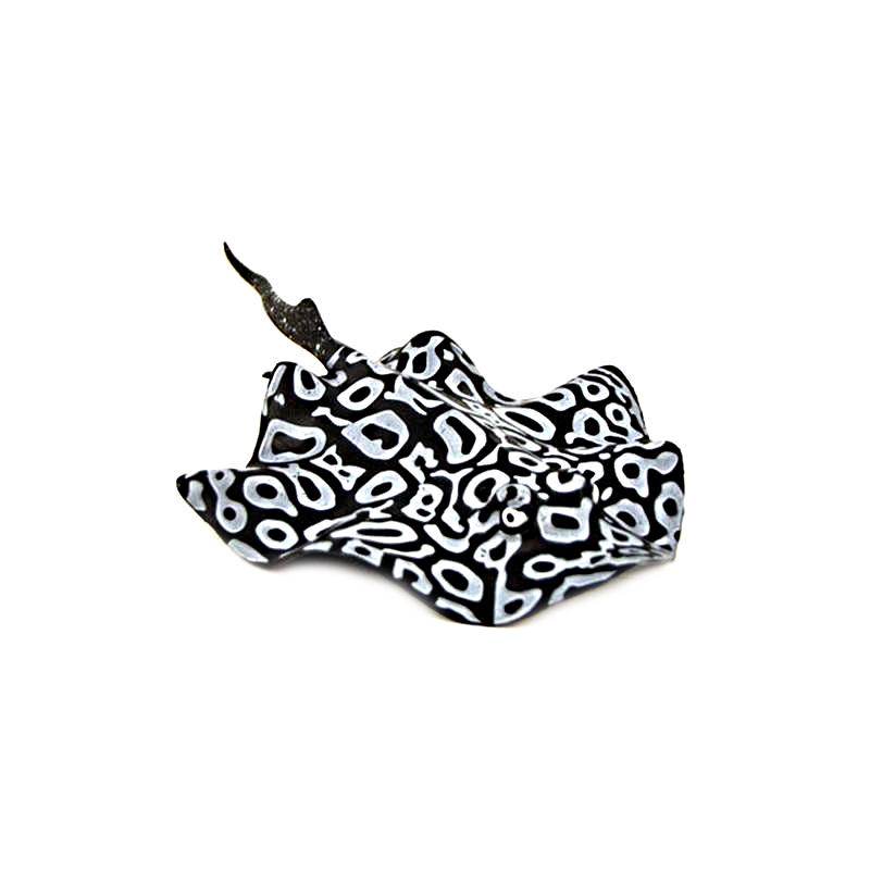 Glowing Stingray Aquarium Decor InfiniteWags Black