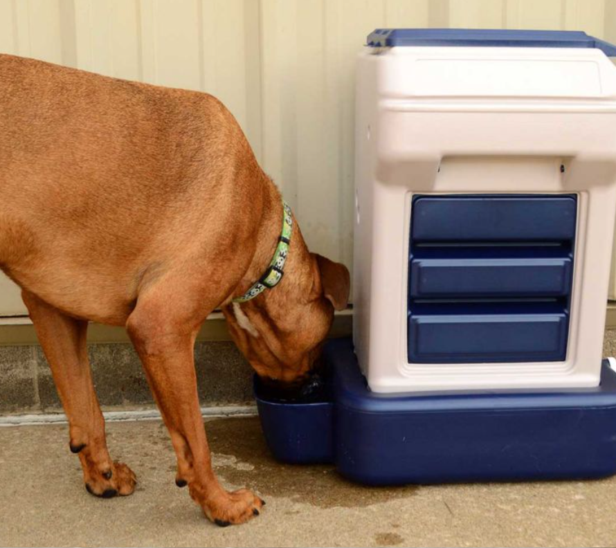 Bergan Elevated Pet Feeder