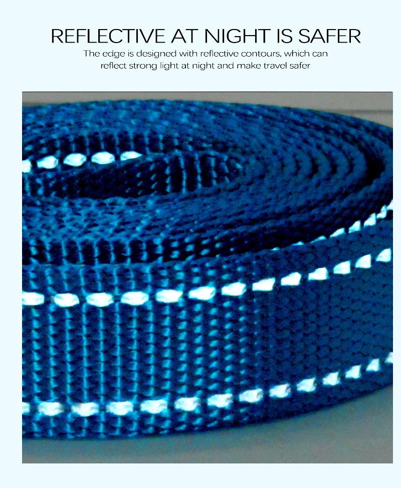 Nylon Reflective Dog Leash InfiniteWags