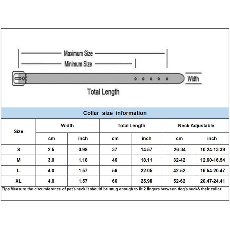 Reflective Dog Collar InfiniteWags