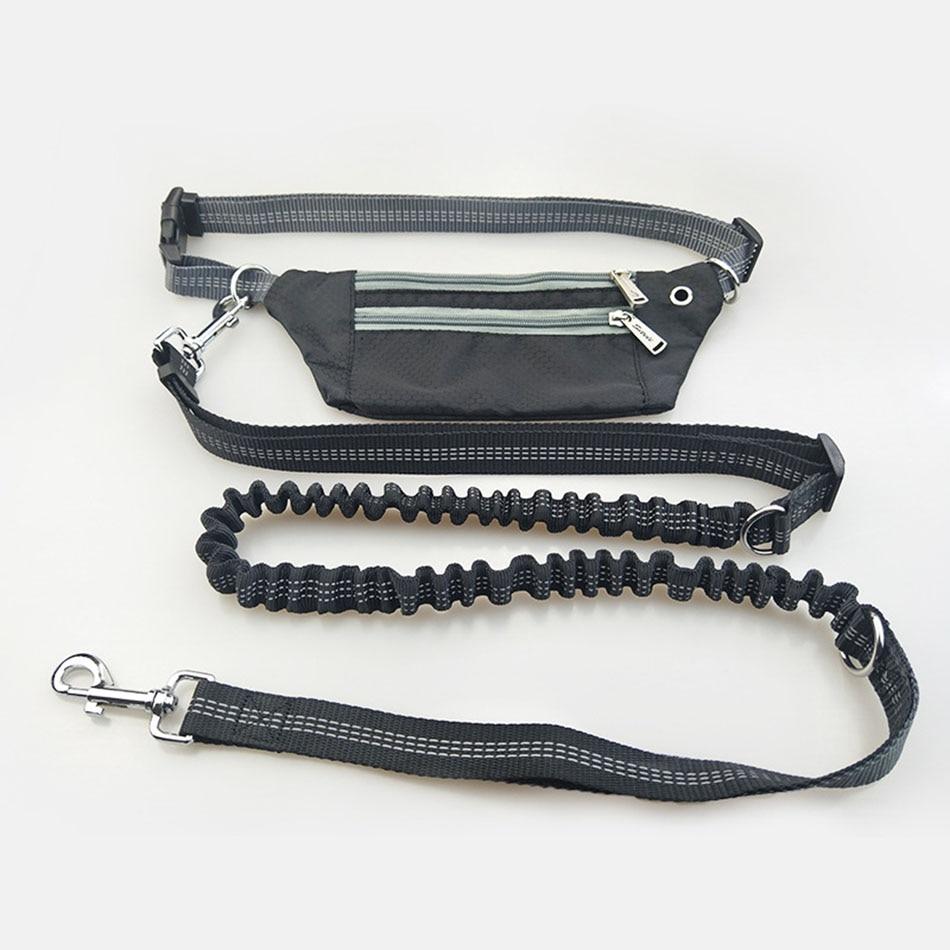 Hands Free Dog Leash - Phone Storage Compartment - Running Clip InfiniteWags