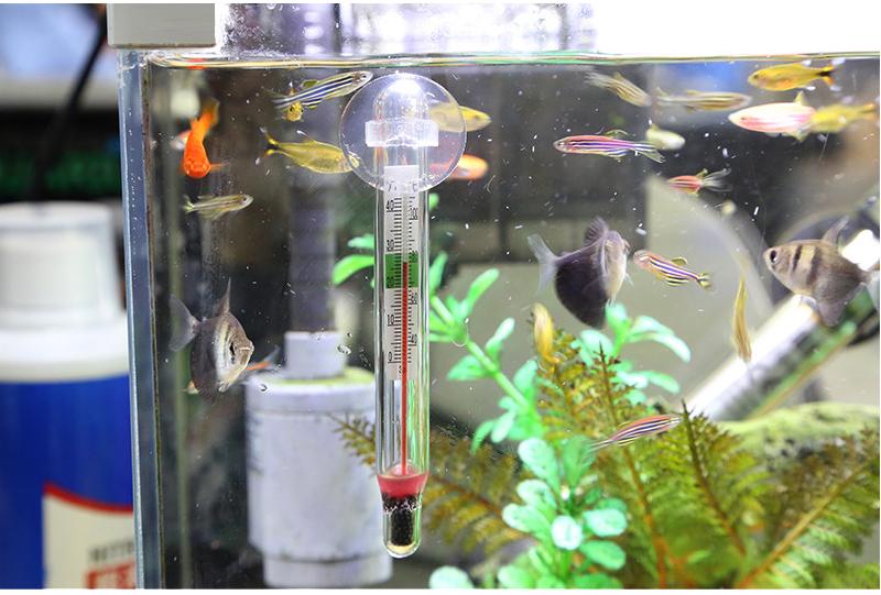Aquarium Thermometer - Suction Cup InfiniteWags