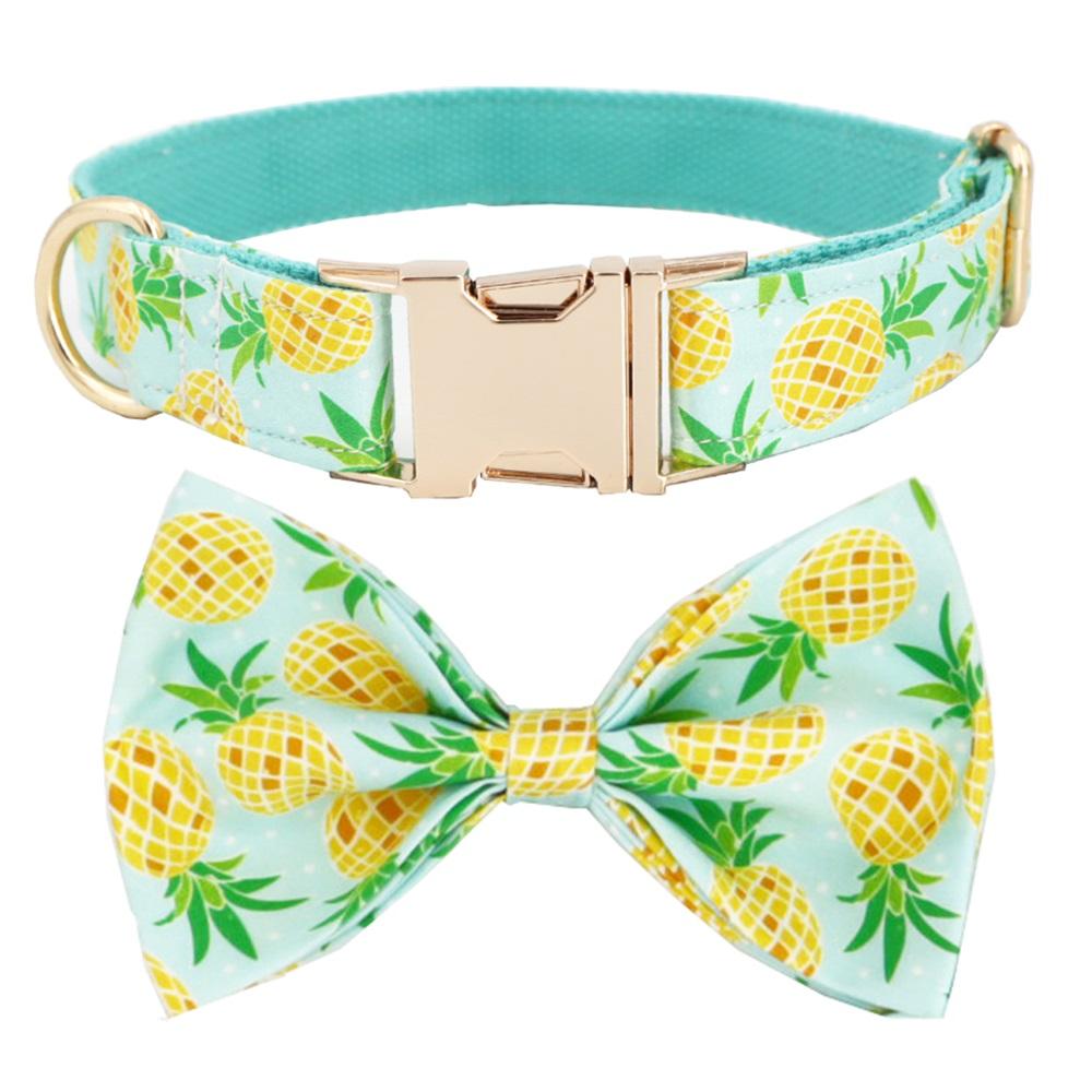 Beachcomber Collar and Leash Set InfiniteWags