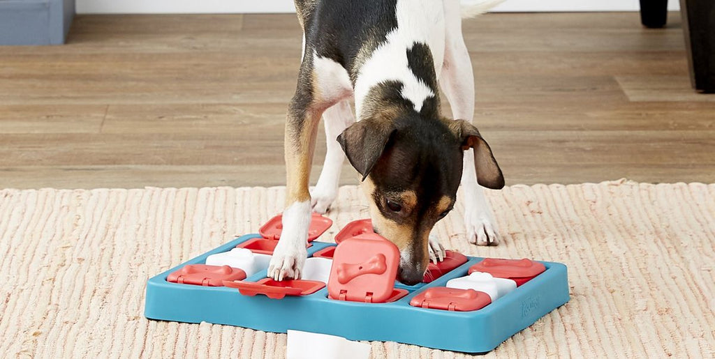 Best Dog Toy for Mental Stimulation - Our Top 5 List