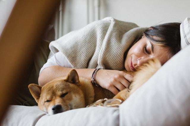 What Should I Do If My Dog Ate Chocolate?