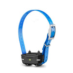 PT 10 Additional PRO Dog Collar Blue Garmin 