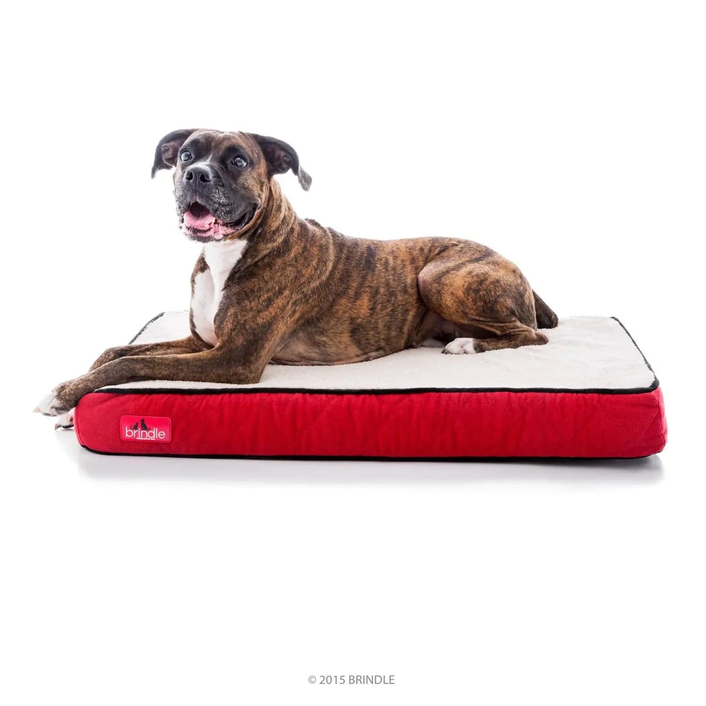 Orthopedic Dog Bed - Waterproof Memory Foam - 4 Inch InfiniteWags 