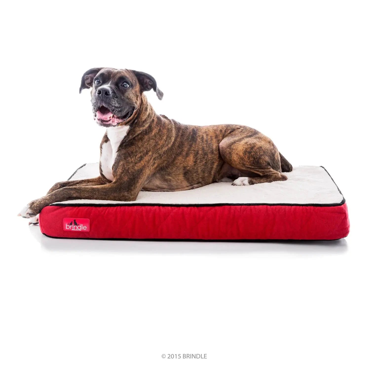 Orthopedic Dog Bed - Waterproof Memory Foam - 4 Inch InfiniteWags 