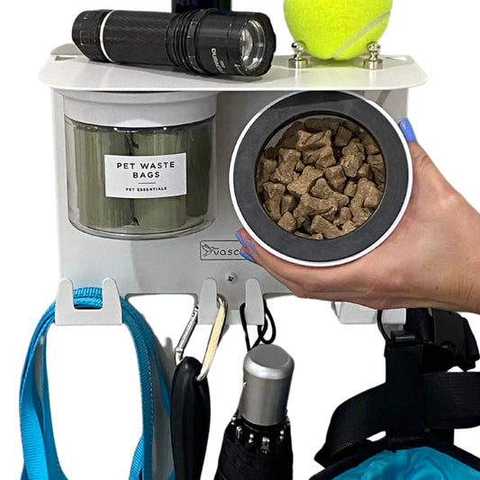 Dog Leash Holder for Wall With Shelf InfiniteWags 