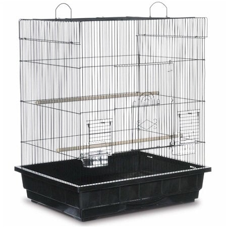 Square Roof Parakeet Cage - Black Prevue Pet Products 